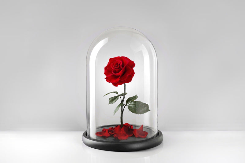 What is Eternal Flowers or preserved flowers?